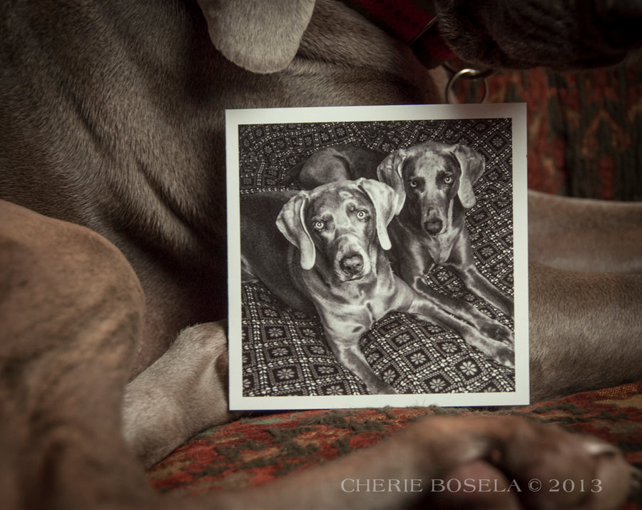 Black and White Weims